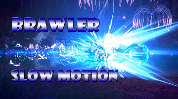 Tera: BRAWLER Slow-Motion Skills [1080p]