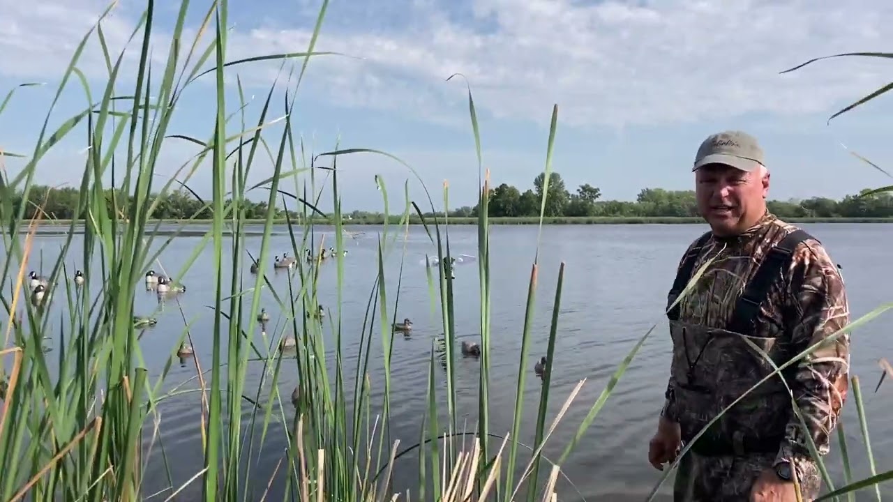 Viewer Question  Early Season Waterfowl Hunting Decoy Spreads