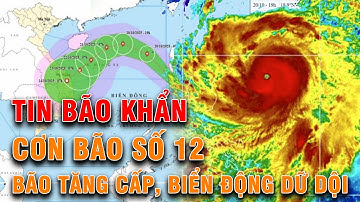 🔴TRỰC TIẾP: BÃO SỐ 12 TĂNG CẤP, BIỂN ĐỘNG DỮ DỘI