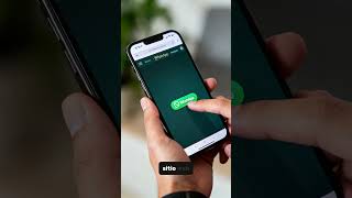 Cómo poner un botón de WhatsApp en WordPress GRATIS