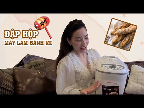 Video: Máy làm bánh mì Moulinex: đánh giá các dòng máy và đánh giá