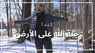 مميزات بسيطة للحياة في كندا