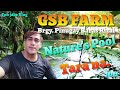 Sulit na Pasyalang Summer / GSB FARM Running Water  / Exploring Baras Rizal ( Pinugay ) / Jake Blog