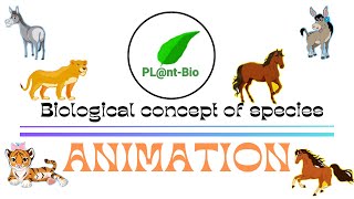 Biological Concept of Species || ANIMATION || Living world class 11 biology || NEET biology || #NEET