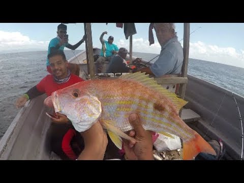 HAND LINE & ROD FISHING DEEP IN THE GULF OF PARIA - Trinidad & Tobago,  Caribbean 