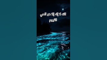 #آية_الكرسي #عبدالرحمن_السديس #تلاوة_خاشعة #اكسبلور #pourtoi #foryou #duet #لايك #trending