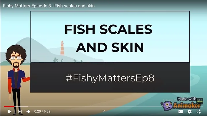 Scales and skin in fishes [Fishy Matters - Episode 8]