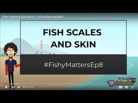 Video: Au peștii tegument?