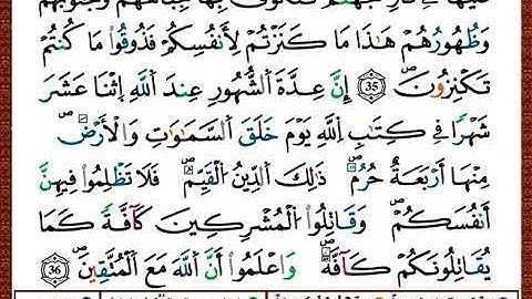 ختمة مصحف التجويد برواية قالون الصفحة رقم 192