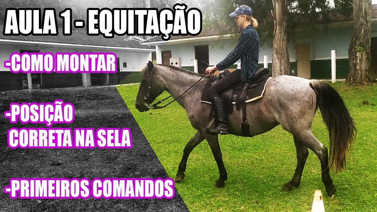 COMANDOS BÁSICOS E POSIÇÃO CORRETA NA SELA - AULA 1 equitação