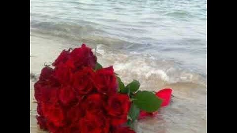 تلاوة هادئة خاشعة تاخذك لعالم السكينة والخشوع اسلام صبحي سورة فصلت كاملة