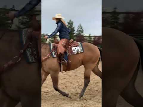 2024 Gold n Grand Ranch Riding Select Pattern 12