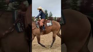 2024 Gold n Grand Ranch Riding Select Pattern 12