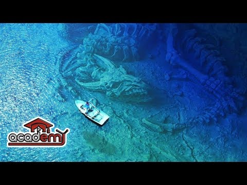 6 Penemuan Tak Biasa di Dasar Laut, Ada Komputer Berusia 2.000 Tahun