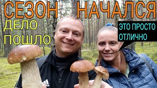 Грибы сентября в Вакарбуллях Сезон Балтийских грибов / Baltic mushrooms / Septembra sēnes Vakarbuļļī