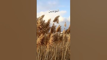 من ذا الذي يقرض الله قرضا حسنا فيضاعفه له وله اجر كريم تلاوة القارئ بدر التركي سورة الحديد{١١-١٢}