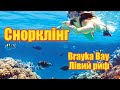 Снорклінг - Brayka Bay - Лівий риф | Феєрія Мандрів