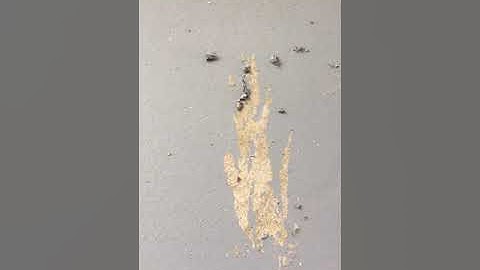 Behr  concrete & Garage Self priming one part epoxy.