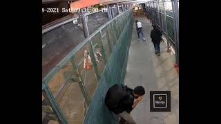 More black violence caught on camera. Man in Brooklyn gets sucker punched.