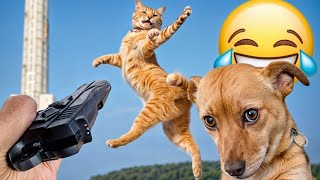 Funniest Cats and Dogs 2024 🐶 You Laugh You Lose 😍  Part 128
