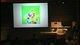 Jane Wang: Computational Modeling of Insect Flight screenshot 4