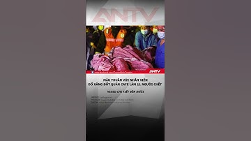 Khởi tố kẻ phóng hỏa quán cà phê làm 11 người tử vong ở Hà Nội #antv #shorts #tintuc #chay