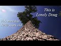 The Worlds BIGGEST Fir Tree | Lonely Doug | Destination Adventure