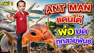 คลิป 1 | ANT MAN มาเยือน ! #ครูโอม ตัวจริงเรื่องสายพันธุ์มดกว่า 700 ชนิด | SUPER100