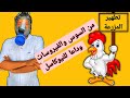 تطهير عنابر الفراخ و مطهر الفيركن إس 