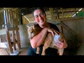 Cultivating balance to avoid burnout what works for us  farm life chat