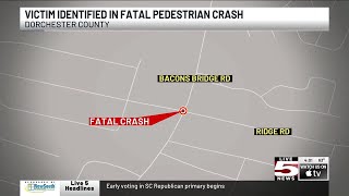 VIDEO: Coroner IDs 16-year-old pedestrian in early-morning Dorchester Co. crash