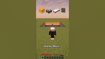 Which Block Saves You from Fall Damage? Part 2 🪂