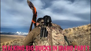 HUNTING PUBLIC LAND MULE DEER IN IDAHO WITH A BOW/ PART 1