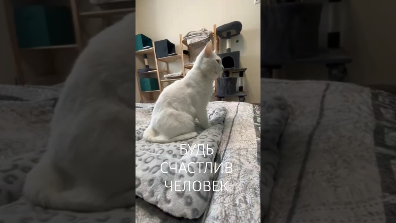 Маиза благодарит тебя! 