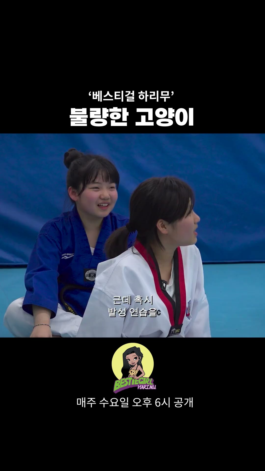 불량한 고양이 #bestiegirl #harimu #베스티걸 #하리무