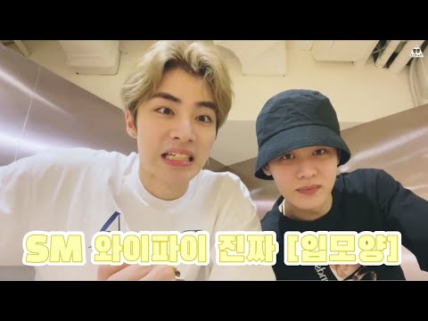 [WayV/NCT 샤오쥔.쿤] 아티스트도 참지 못 하는 SM 와이파이