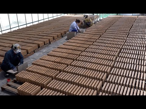 Видео: Процесс массового производства экологически чистого кирпича из красной глины.