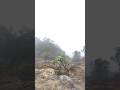 Badai di Gunung Ciremai