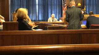 Brandon Mann Testimony