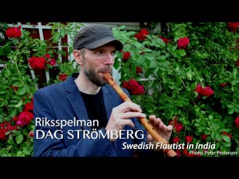 Johannes V Stromberg