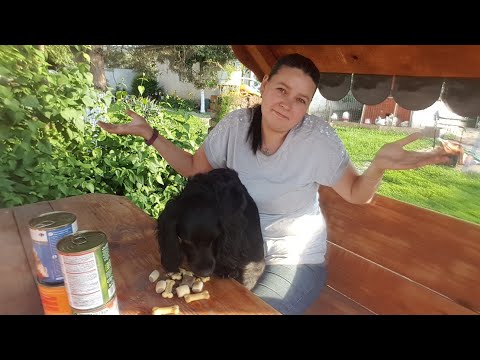 Video: Atenolol - Lista De Medicamente și Prescripții Pentru Animale De Companie, Câine și Pisică