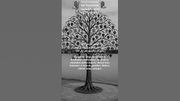 سورة الزمر 28/21 turk/arab#قران_كريم #quran