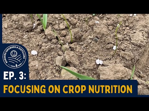 From Seed To Spirit: Focusing On Crop Nutrition