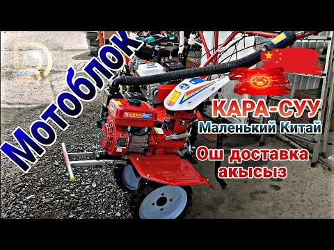 Video: Кара моторлору жакшыбы?