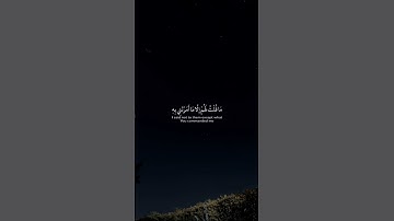 تلاوه خاشعه للشيخ محمد الغزالي 🤍😔