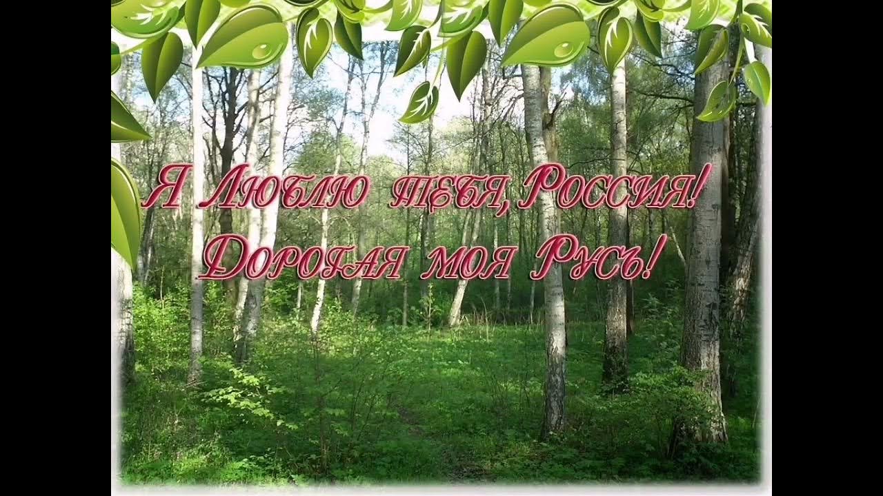 Люби природу песня. Я люблю тебя Россия. Надпись природа. Люблю тебя моя Россия. Родина картинки.