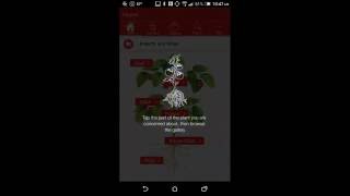 Tomato App Video - Android screenshot 5