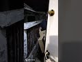 Sponsor Amazon tentativo 6 #amazon #funnyvideo #funny