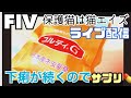 Live下痢が続く猫エイズの保護猫に「コルディG」を与える事にしました。