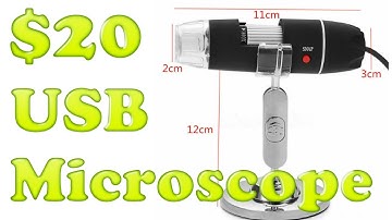$20 USB Microscope Review By Gym_